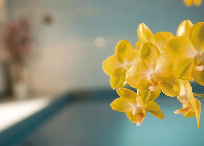 Haus Wandl 제펠드 인 티롤